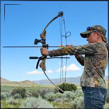 Image result for Castle Field Archers