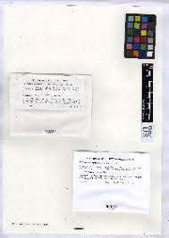 Attēlu rezultāti vaicājumam “Arthonia leucopellaea”