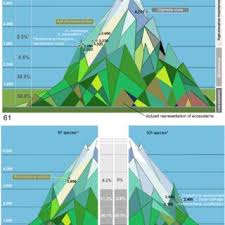 Attēlu rezultāti vaicājumam “Tischeriidae”