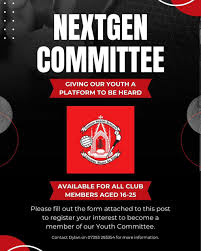 Image result for St Bronagh`s Gaa