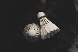 Image result for Northampton Nighthawks Badminton Club
