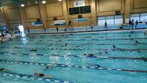 Image result for Mid Sussex Triathlon Club