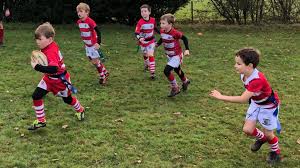 Image result for Caldicot Junior  & Mini Rugby Club