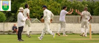 Image result for Sandyford Cricket Club