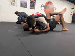 Image result for 210 JiuJitsu