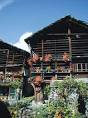Alagna Valsesia - Wikipedia, the free encyclopedia