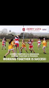 Image result for Ballerin Gaelic Athletic Club