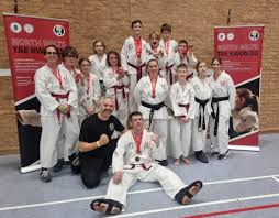 Image result for North Wilts Taekwondo