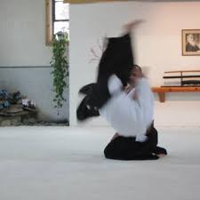 Image result for Tora Dojo