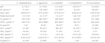 Attēlu rezultāti vaicājumam “Calliergon megalophyllum”