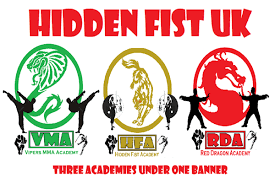 Image result for Hull Kung Fu