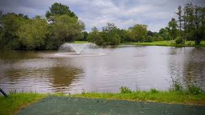 Image result for Billingbear Park Golf Club