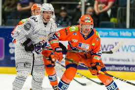 Image result for Sheffield Steelers