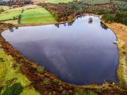 Image result for Wey Valley Disabled Angling Association