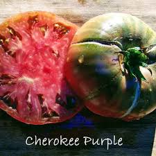 Afbeeldingsresultaat voor dark purple beefsteak tomato