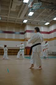 Image result for Loughton Wado-Kai Karate Club