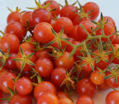 Afbeeldingsresultaat voor caspian pink tomato