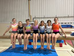 Image result for Abingdon Gymnastics Club