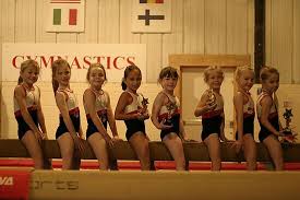 Image result for Holbeach and Fenland Gymnastics Club