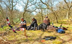 Image result for Derwynd Field Archery Club