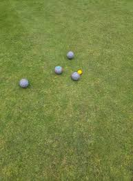Image result for Tenby Bowling Club