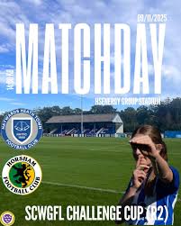 Image result for Haywards Heath Town Ladies Football Club