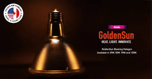 Risultati immagini per arcadia basking solar flood