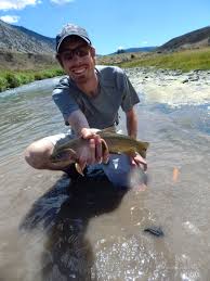 Image result for Salvelinus alpinus taranetzi