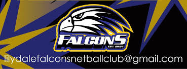 Image result for Falcons Netball Club