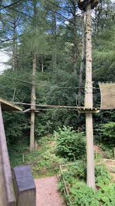 Image result for Go Ape! Dalby