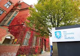 Image result for Sheffield University