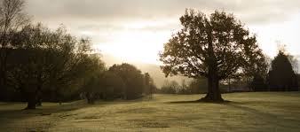 Image result for Mountain Ash Golf Club