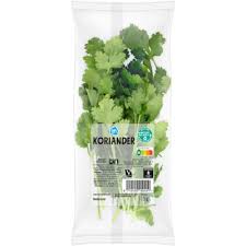 Image result for Koriander