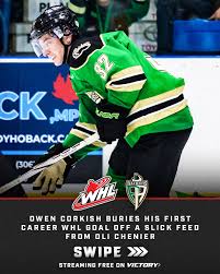 Image result for Wightlink Raiders