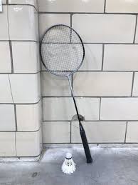 Image result for Hawks (Jersey) Badminton Club