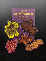 Attēlu rezultāti vaicājumam “Badhamia juliae”