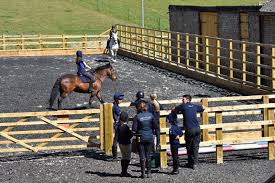 Image result for Cranleigh School Stables