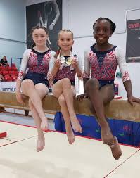 Image result for Hinckley Gymnastics Club