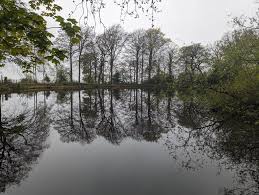 Image result for Bollington & Royal Oak Angling Society