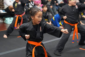Image result for Villatoro Bushido Martial Arts