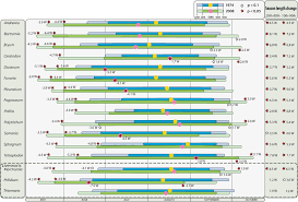 Attēlu rezultāti vaicājumam “Sanionia uncinata  sporophyte”