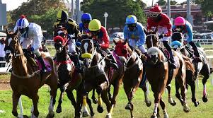 Image result for The Horse Racing Club
