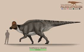 Bildergebnis für corythosaurus