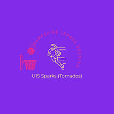 Image result for Sparks Netball Bristol