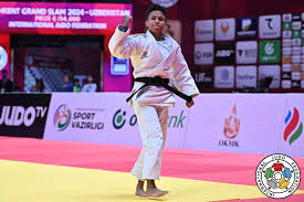 Image result for Intelligent Martial Arts