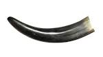 Horn Spoon