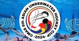 Image result for Caversham Underwater Hockey Club