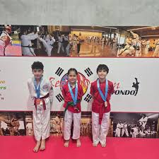 Image result for Red Dragon Taekwondo club