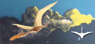 Image result for BARNET and WHETSTONE CHANGQUAN FLYING DRAGON