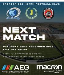 Image result for Border & Heath End Football Club